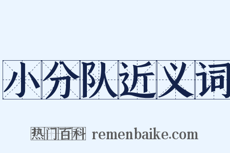 小分队近义词是什么意思的图片